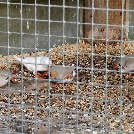 Vakantieboerderij Fenzl Pocking (Passau)