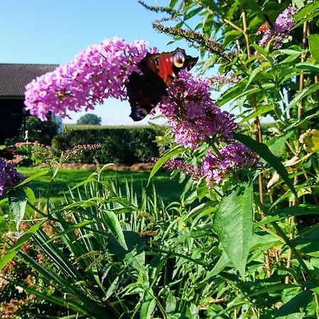 Fenzl Pocking (Passau)