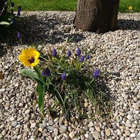 Fenzl Bauernhof *