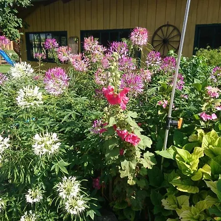 Vakantieboerderij Fenzl Pocking (Passau)