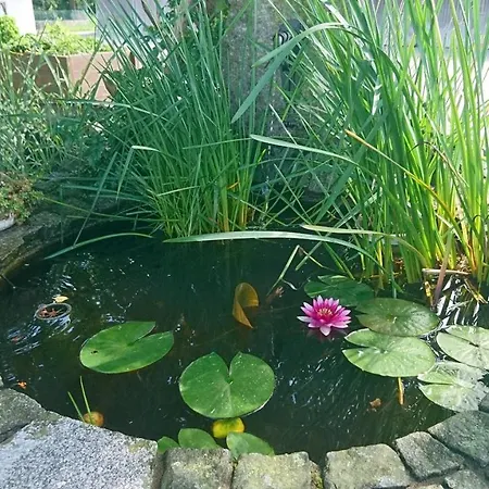 Fenzl Vakantieboerderij Pocking (Passau)