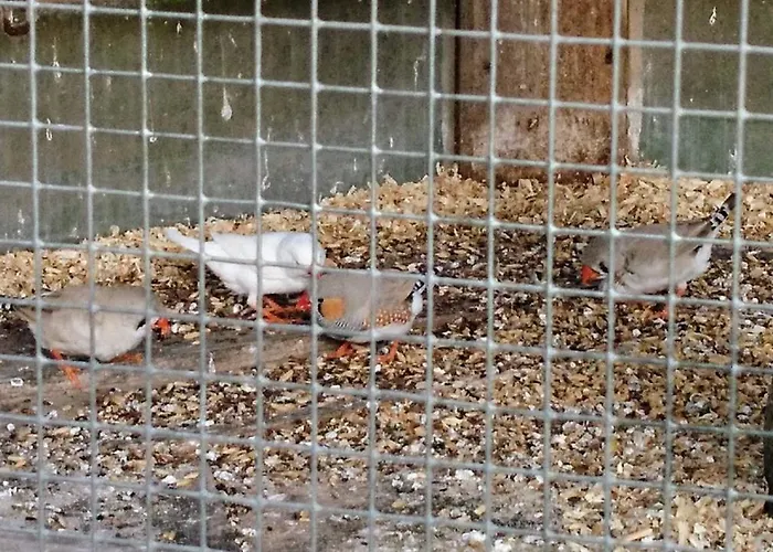 Farmház Fenzl Pocking